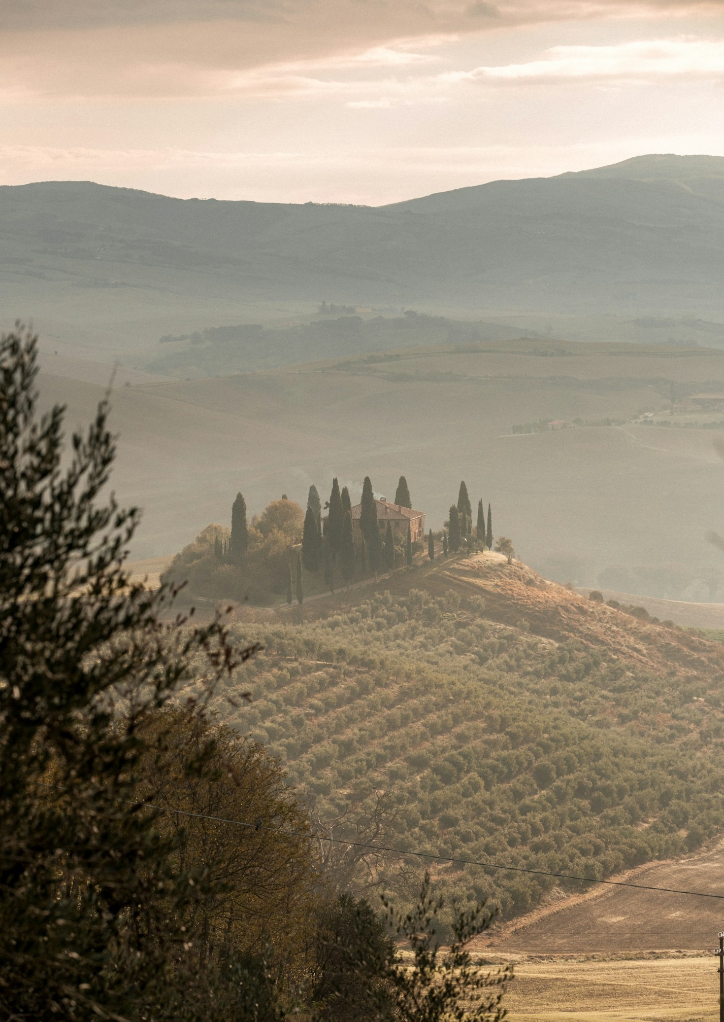 Exploring Florence and the Tuscan Countryside