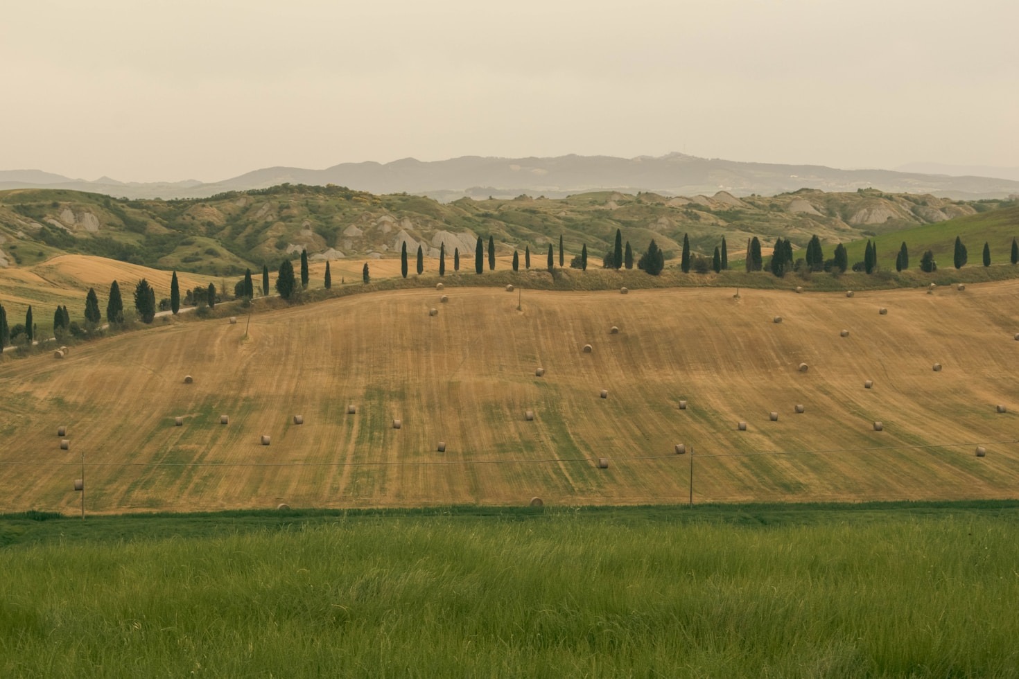 Why Family-Run Farms Are Tuscany’s Hidden Gems