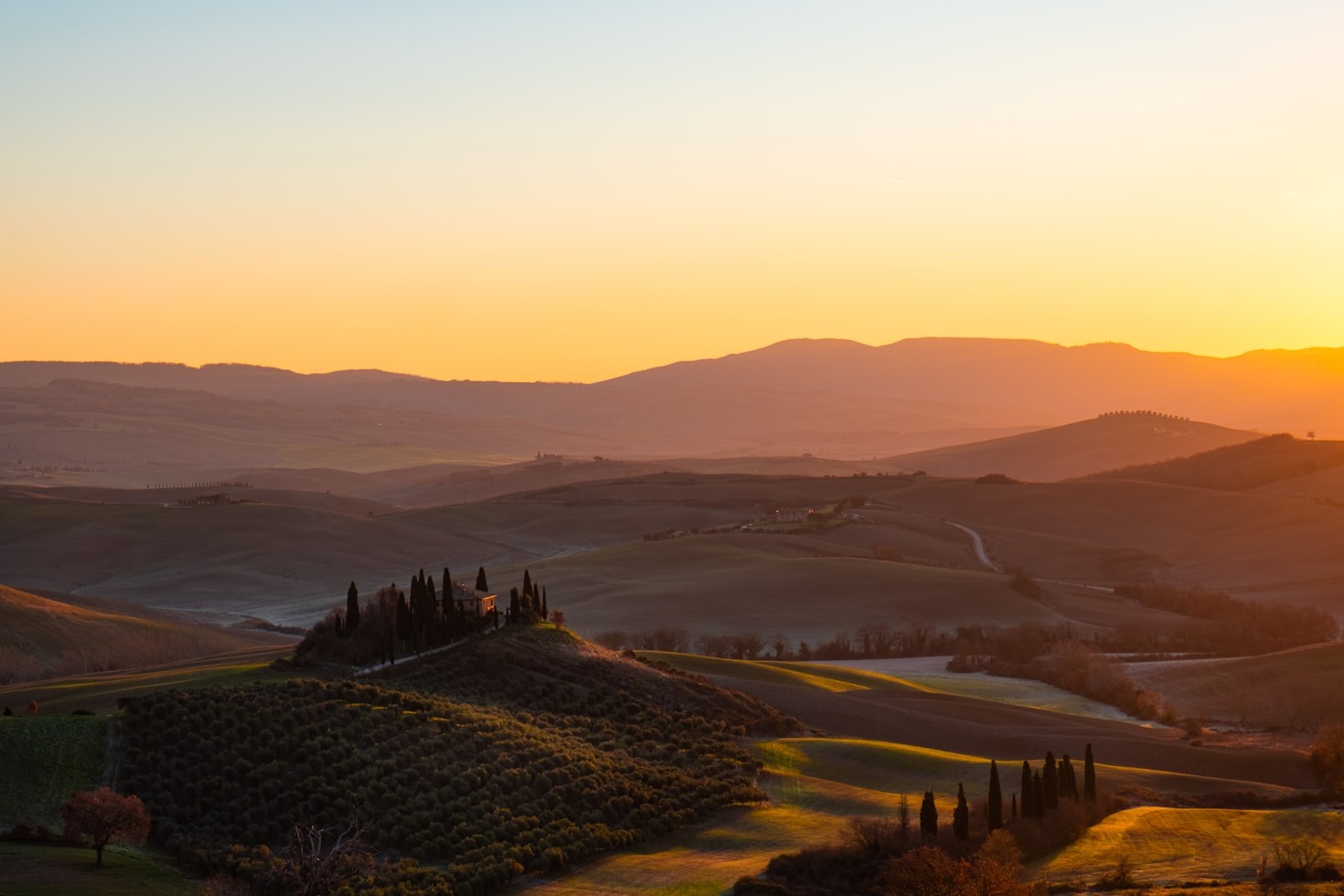 Tuscany’s Charm: From Vineyards to Farmhouses